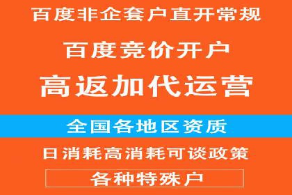 百度推广渠道拓展，成功案例分析
